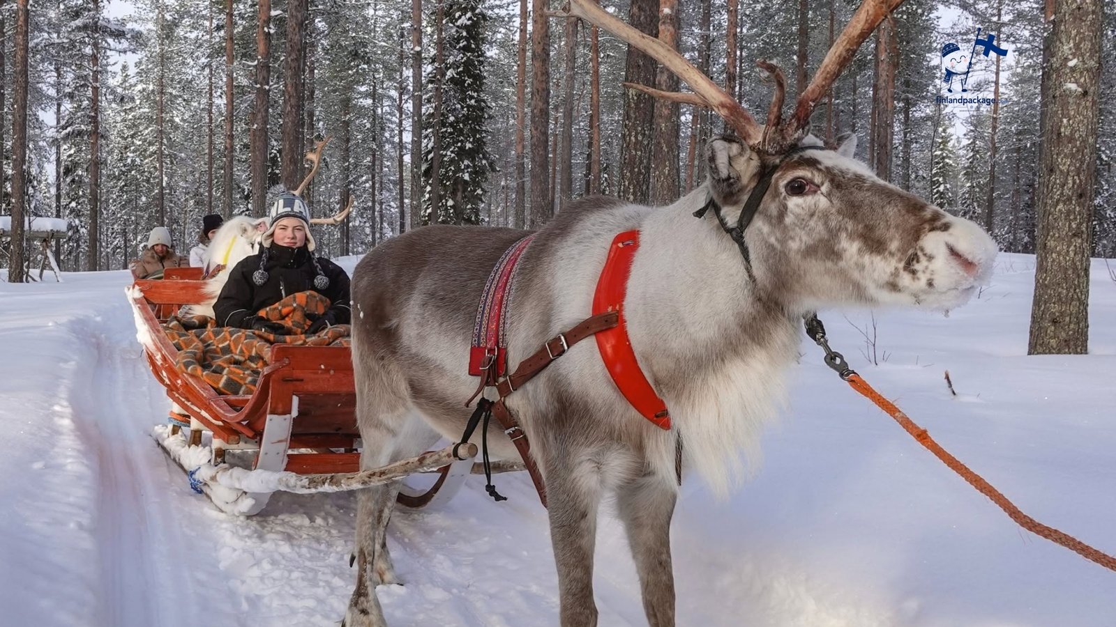9 Day Finland tour package photo 1